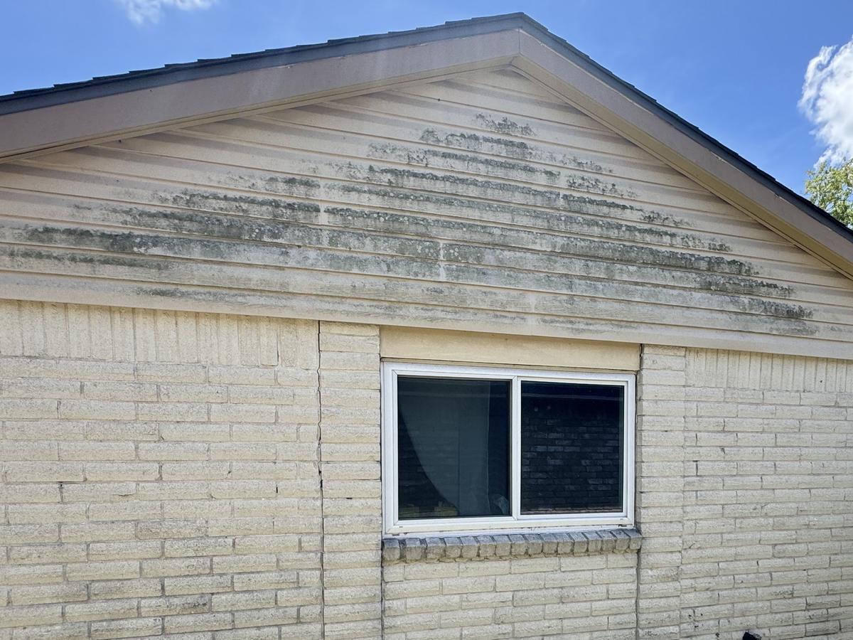 Siding soft wash: before